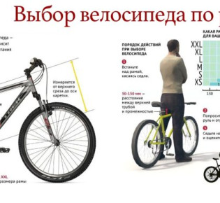 Рекомендации по выбору велосипеда