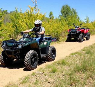 Виды квадроциклов: как понять, какой ATV подходит именно вам