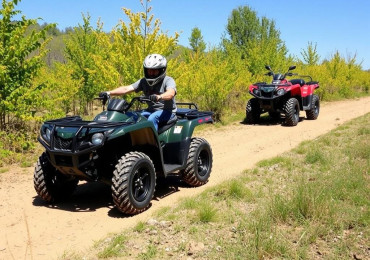 Виды квадроциклов: как понять, какой ATV подходит именно вам