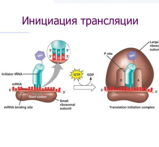 Что такое инициация?