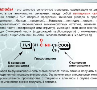 Что представляют собой пептидные препараты?