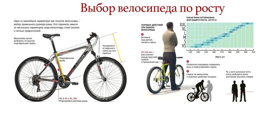 Рекомендации по выбору велосипеда