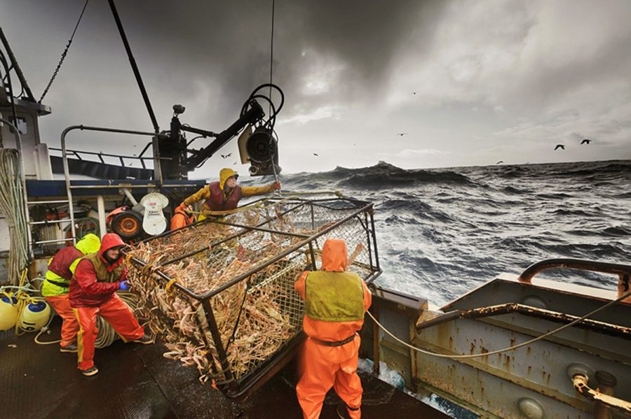 Работа на судне для ловли крабов в Норвегии
